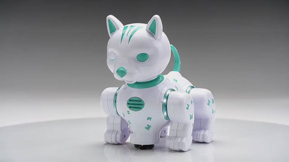 Remote Control Robot Cat Toy with Light-Up Eyes | Interactive RC Robot Pet for Kids 8+